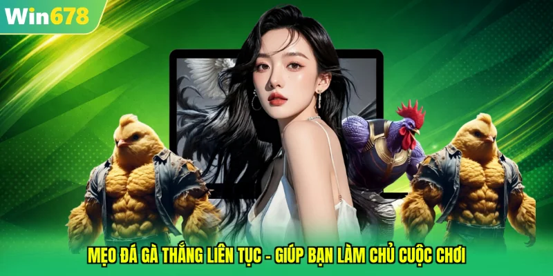 mẹo đá gà thắng liên tục