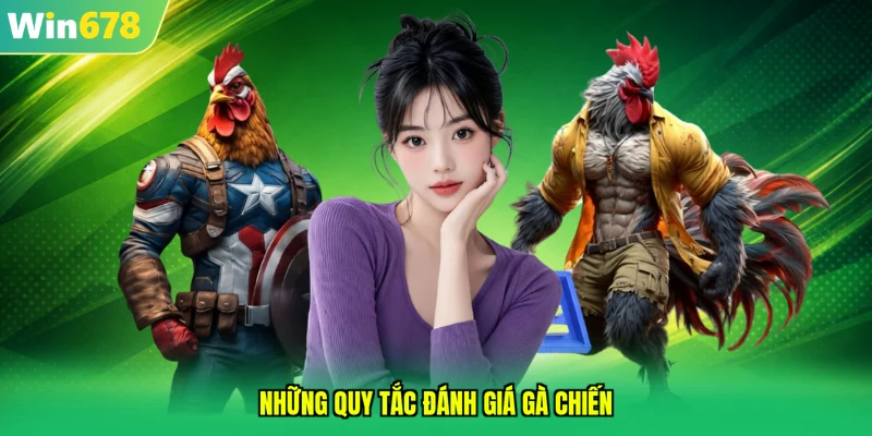 Những quy tắc đánh giá gà chiến